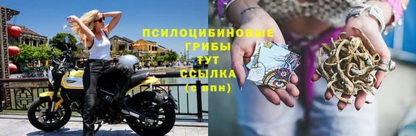синтетический гашиш Карпинск