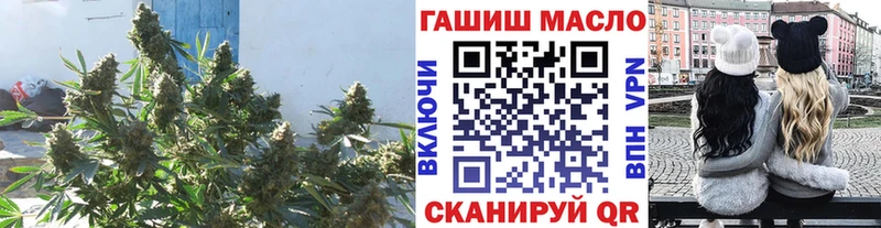 Купить закладки  Белокуриха  Дистиллят ТГК гашишное масло 