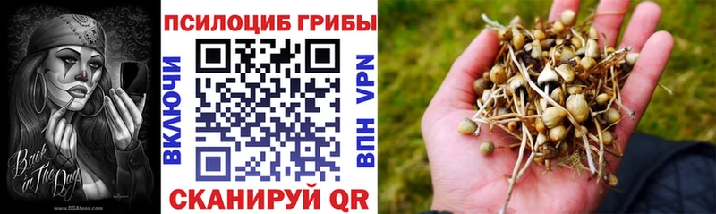 Псилоцибиновые грибы мицелий  Купить где  Белокуриха 